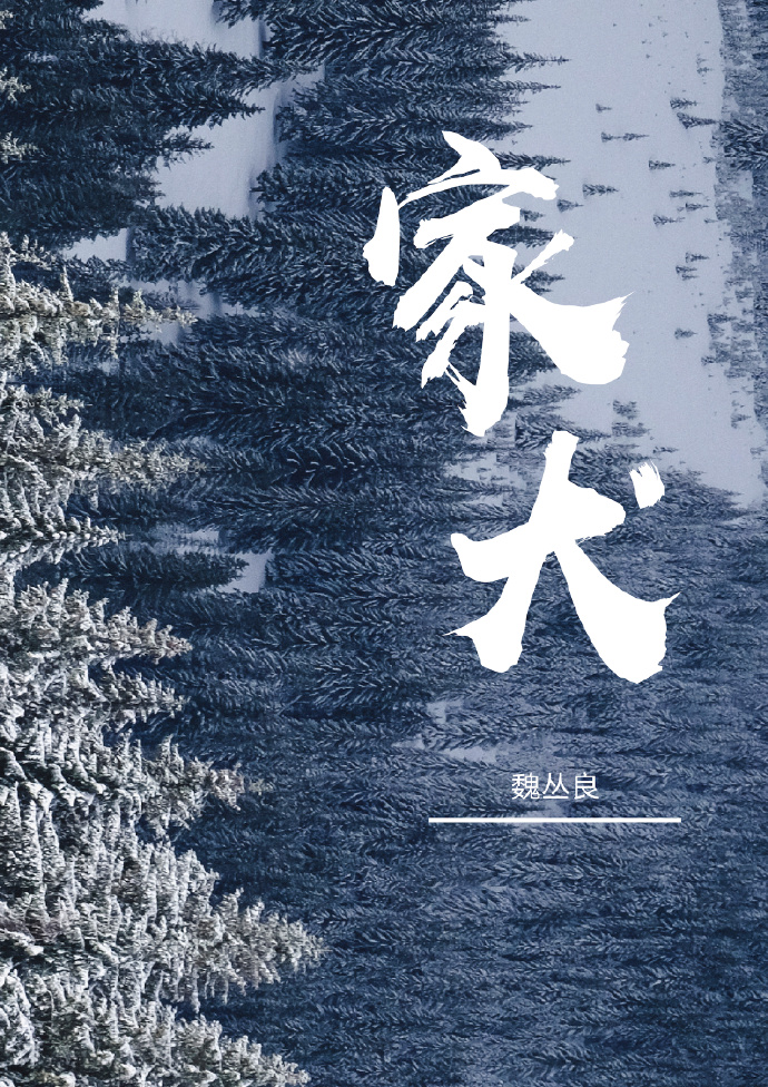家犬的寿命是多少年